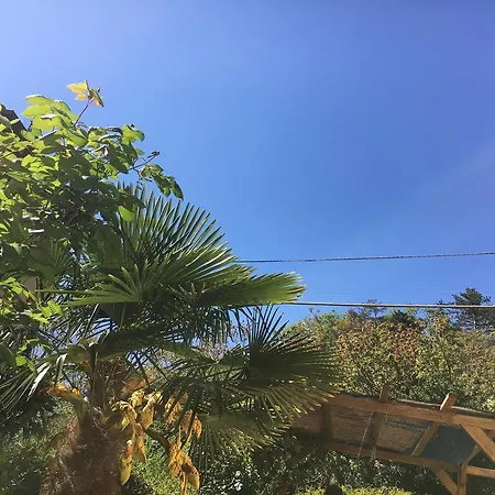 Flo לינה וארוחת בוקר *